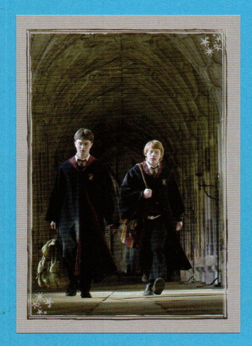 Harry potter principe - harry,